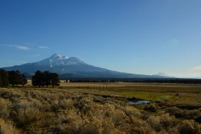 DSC_3006 (Large).JPG